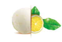 parfum_glace_citron-jaune